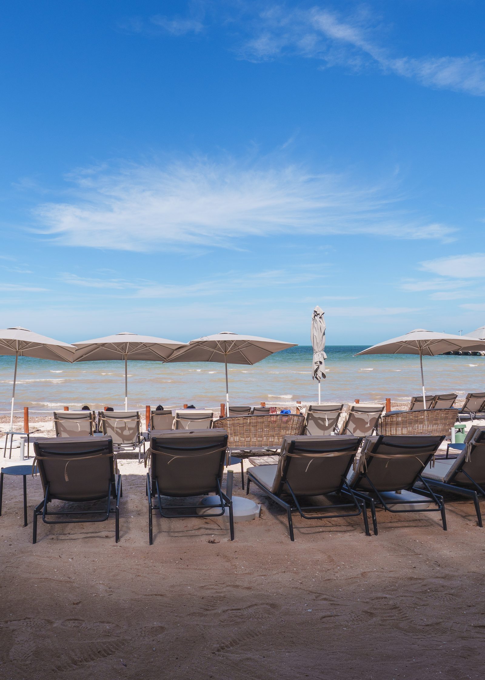Camastros en la playa de Playaviva Beach Club